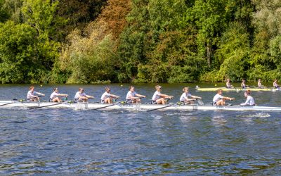 Goldene Ananas statt Bronze für den Alstersprinter