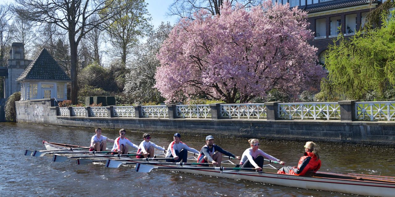 Frühlingssonne beim Anrudern