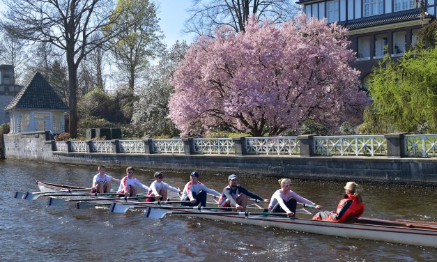 Frühlingssonne beim Anrudern